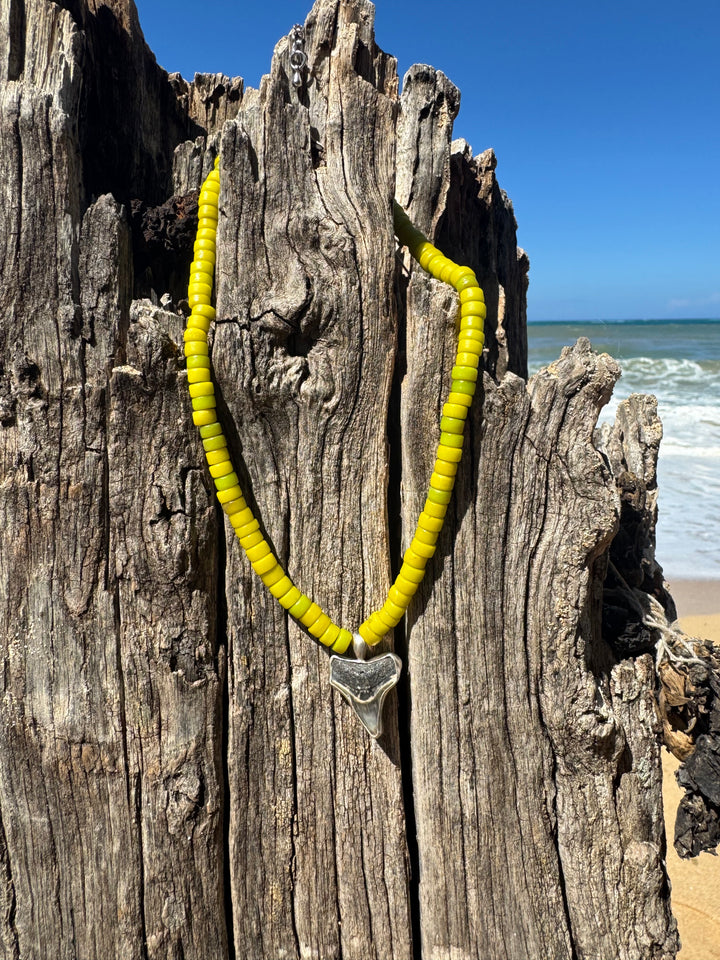 Green Shark Tooth Necklace